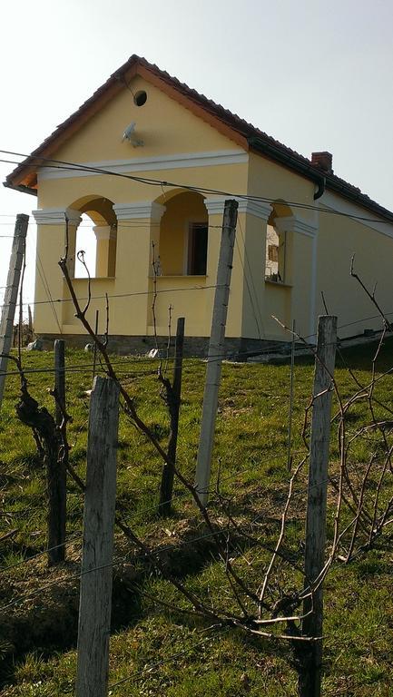 Villa Kellerstöckl Kamper Eisenberg an der Pinka Exterior foto